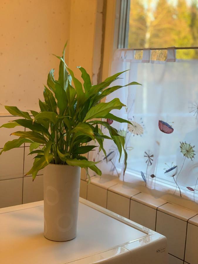 Cozy House In Kosta Center Surrounding With Swedish Nature Bagian luar foto